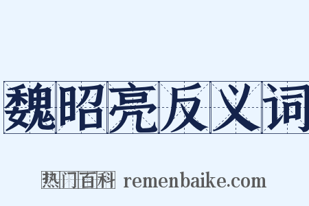 魏昭亮反义词是什么意思的图片